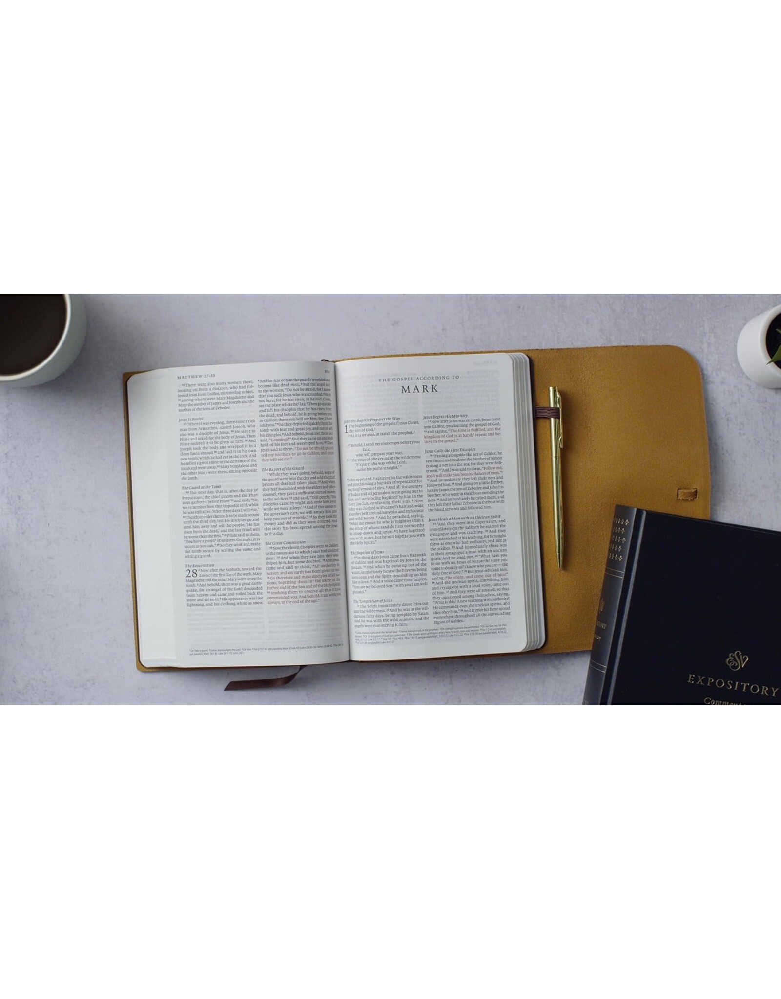 ESV Thinline Bible - Natural Leather, Flap with Strap