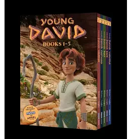 Andy McGuire Young David Series Box Set