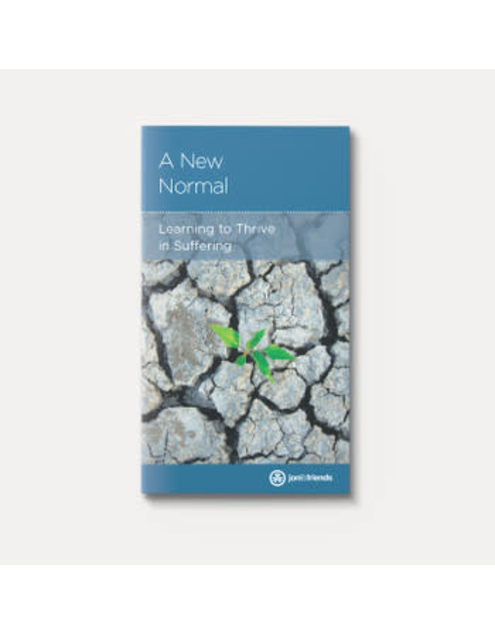 Rebecca Olson A New Normal - Learning to Thrive in Suffering
