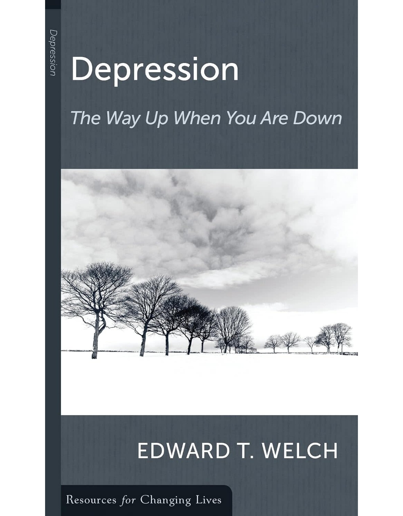 Edward T Welch Depression: The way up when you are down