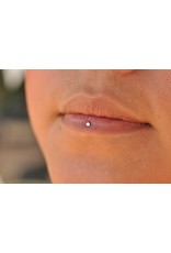 Neometal CZ Bezel Titanium Threadless Ends by Neometal