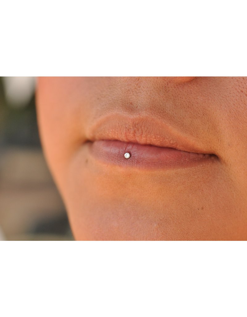 Neometal CZ Bezel Titanium Threadless Ends by Neometal