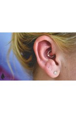 BVLA 16g Fixed Bezel Seam Rings with 2mm CZ in 14k White Gold