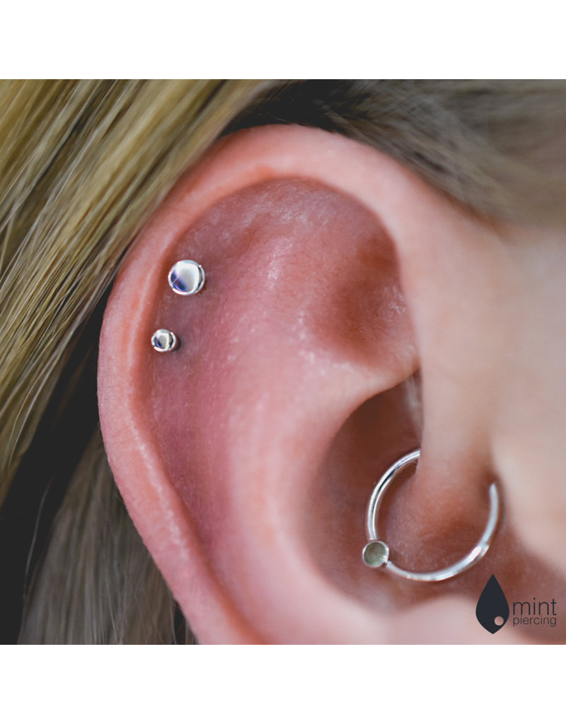 BVLA Polished Disc in 14k Gold Threadless Ends by BVLA!