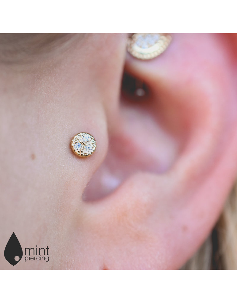 BVLA Pave Circle with CZ in 14k Gold Threadless Ends by BVLA!