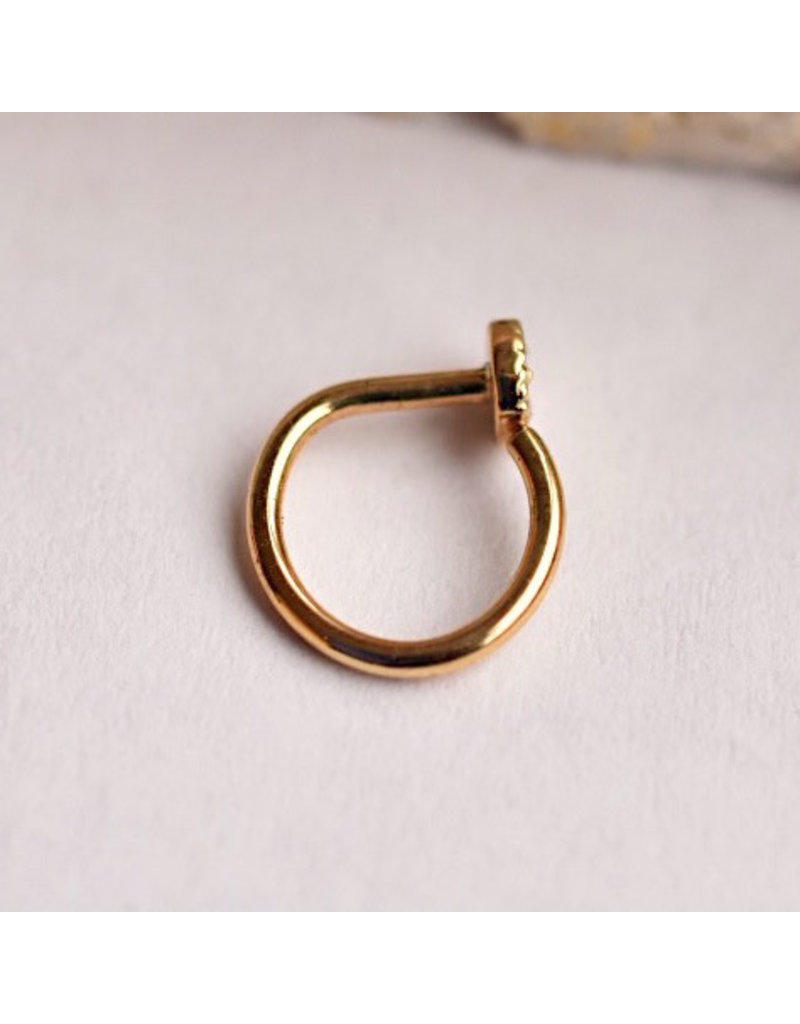 BVLA 18g 5/16" Nostril Snail with 3mm Pave Circle with Genuine Diamonds in 14k Gold by BVLA!