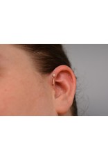 BVLA Flat Rectangle 14k Gold 16g Threaded Ends by BVLA!