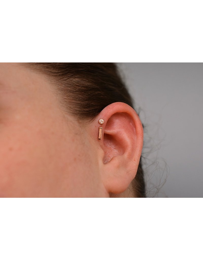 BVLA Flat Rectangle 14k Gold 16g Threaded Ends by BVLA!