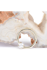 BVLA 16g Fixed Prong Seam Rings with 3mm Princess Cut CZ in 14k Yellow Gold by BVLA!