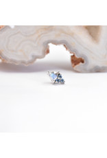 BVLA Tau 16g Threaded End 14k White Gold Rose Cut Labradorite Trillion and Aquamarine