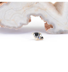BVLA Tau Black Diamond Yellow Gold 16g Threaded End