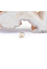 BVLA Tau with Genuine Black Diamond in 14k Yellow Gold 16g Threaded End by BVLA!