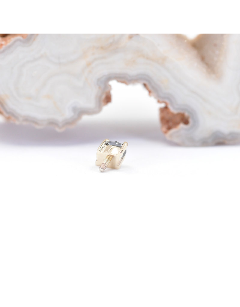 BVLA Tau with Genuine Black Diamond in 14k Yellow Gold 16g Threaded End by BVLA!