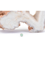 BVLA 2mm Cup with Chrysoprase Cabochon in 14k White Gold Threadless Ends