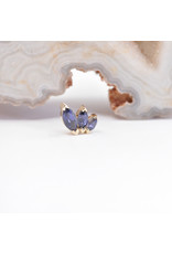 BVLA French Kiss left 16g Threaded End 14k Yellow Gold Iolite AA