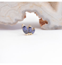 BVLA French Kiss Iolite Yellow Gold 16g Threaded End