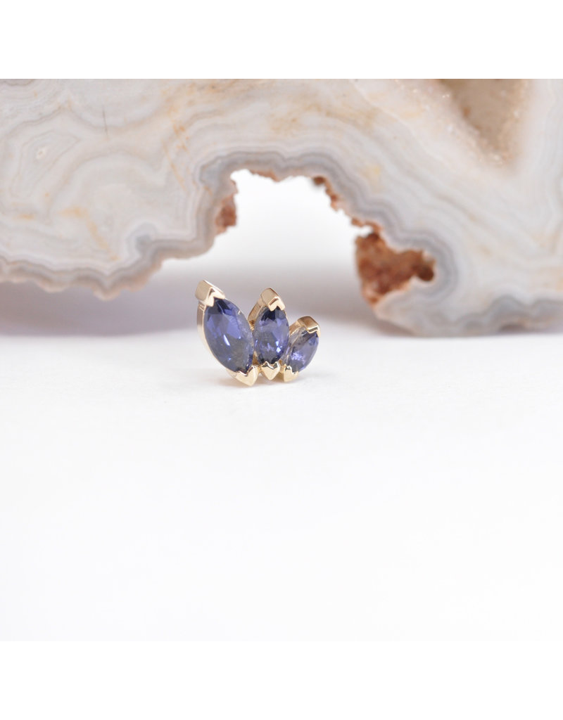 BVLA French Kiss left 16g Threaded End 14k Yellow Gold Iolite AA
