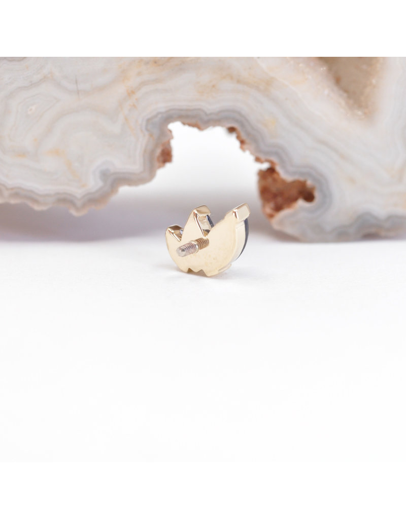 BVLA Left Facing French Kiss with Grade AA Iolite in 14k Yellow Gold 16g Threaded End by BVLA!