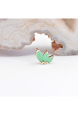 BVLA French Kiss left 16g Threaded End 14k Yellow Gold Chrysoprase