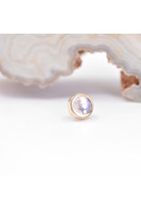 BVLA 4mm Cup with Rose Cut Rainbow Moonstone in 14k Yellow Gold Threadless Ends