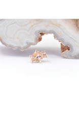 BVLA Daydream with Champagne Sapphire in 14k Yellow Gold 16g Threaded End by BVLA!