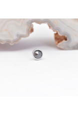 BVLA 3mm Cup with Rose Cut Black Diamond in 14k White Gold Threadless Ends
