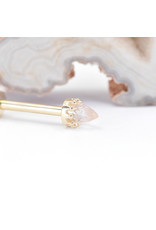 BVLA Bullet Crown Prong 12g Threaded End 14k Yellow Gold 4mm Faceted Rose Quartz