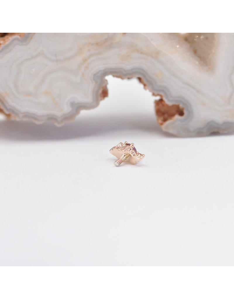 BVLA Embrace with Champagne Sapphire and Rhodolite Garnet in 14k Rose Gold 16g Threaded End by BVLA!