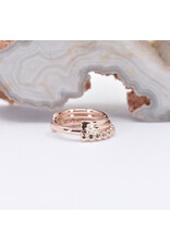 BVLA 16g 5/16" Zara Clicker Ring in 14k Rose Gold by BVLA!
