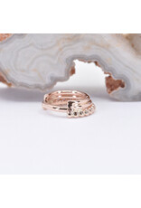 BVLA Zara Hinge Ring 16g 5/16" 14k Rose Gold