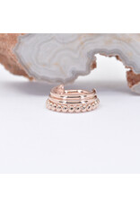 BVLA 16g 5/16" Zara Clicker Ring in 14k Rose Gold by BVLA!