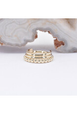 BVLA 16g 5/16" Zara Clicker Ring in 14k Yellow Gold by BVLA!