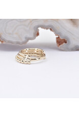 BVLA 16g 5/16" Zara Clicker Ring in 14k Yellow Gold by BVLA!