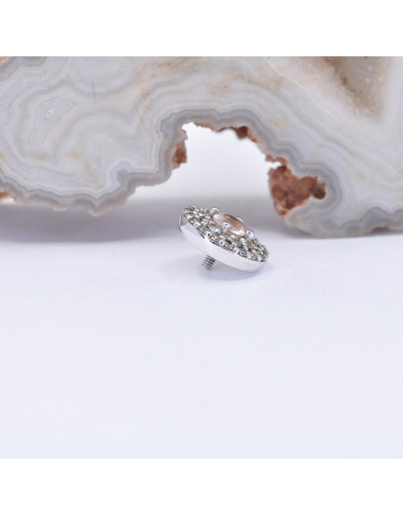 BVLA Double Row Altura with Oregon Sunstone and Champagne Sapphire in 14k White Gold 16g Threaded End by BVLA!