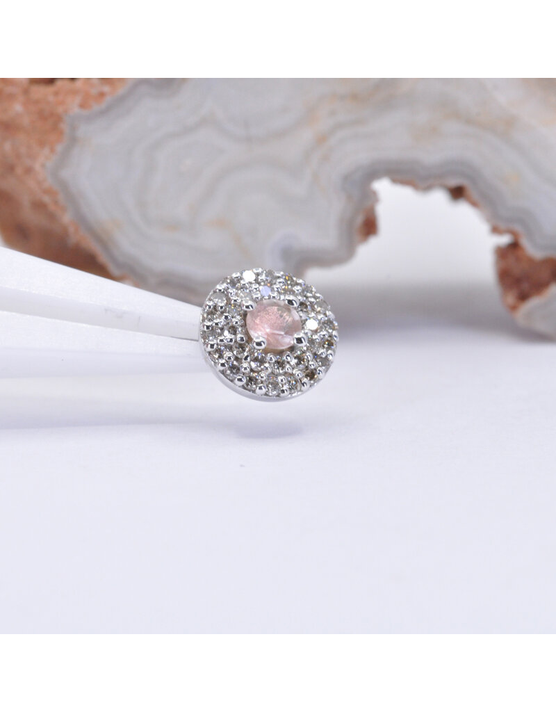 BVLA Double Row Altura 16g Threaded End 14k White Gold Faceted Oregon Sunstone and (30) Champagne Diamond