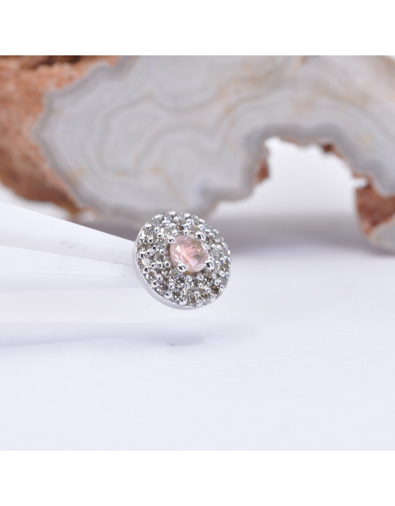 BVLA Double Row Altura with Oregon Sunstone and Champagne Sapphire in 14k White Gold 16g Threaded End by BVLA!