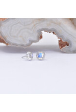 BVLA 3mm Cup with Rose Cut Rainbow Moonstone in 14k White Gold Threadless Ends