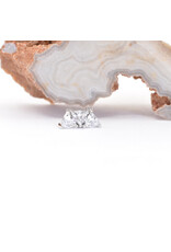 BVLA Irisa 3 with CZ in 14k White Gold 16g Threaded End by BVLA!
