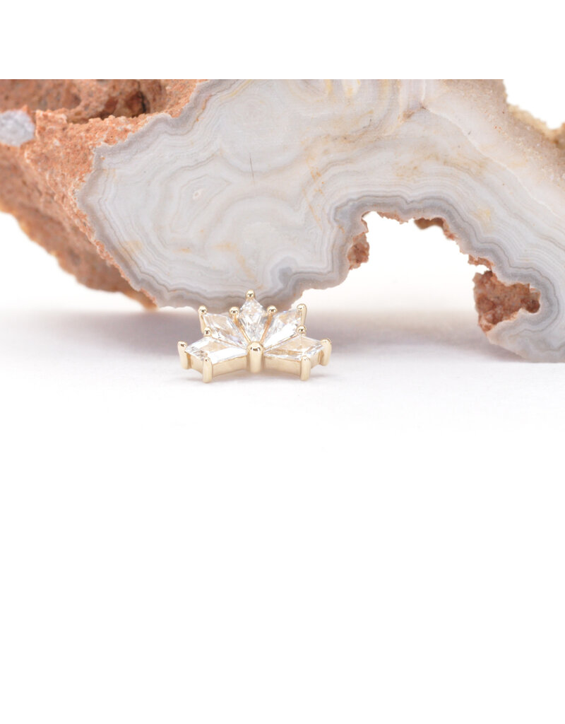BVLA Spirit with CZ in 14k Yellow Gold 16g Threaded End by BVLA!