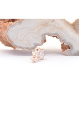 BVLA Spirit with CZ in 14k Rose Gold 16g Threaded End by BVLA!