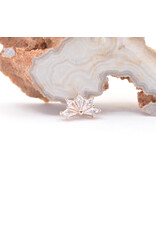 BVLA Spirit with CZ in 14k Rose Gold 16g Threaded End by BVLA!