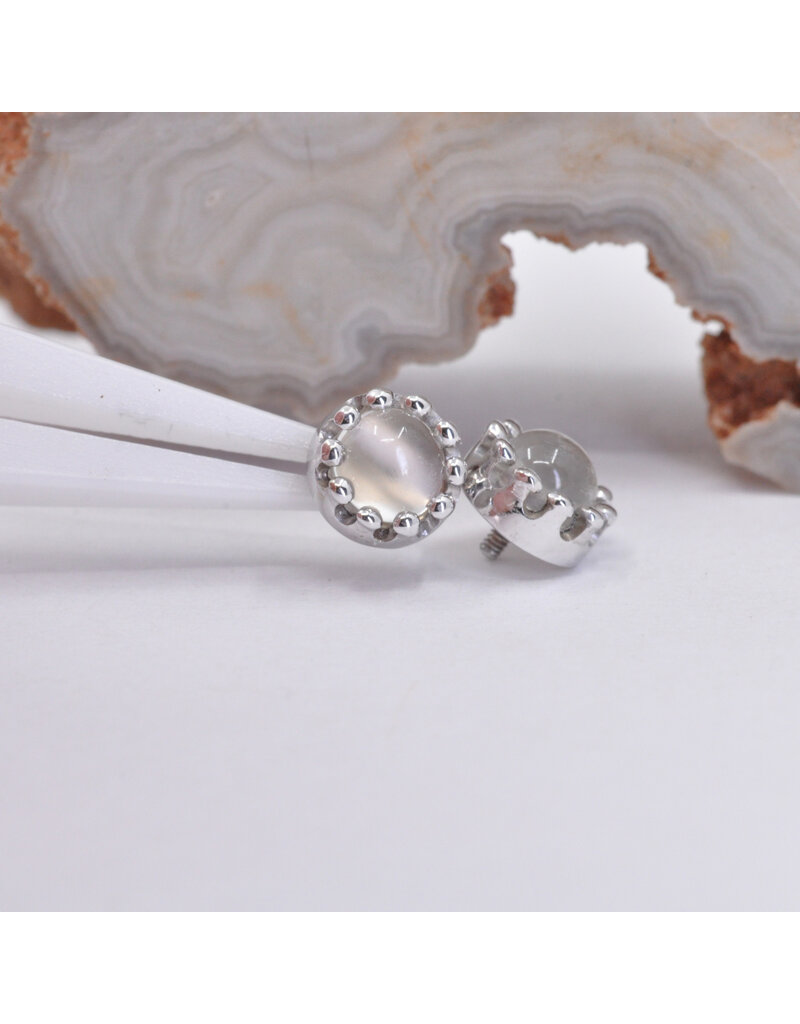 BVLA 6mm Crown Prong with 4mm White Moonstone Cabochon in 14k White Gold 16g Threaded Ends by BVLA!