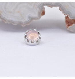BVLA Crown Prong 16g Threaded End 6mm 14k White Gold 4mm Peach Chalcedony Cab