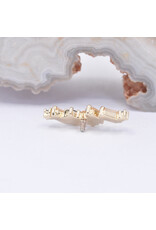 BVLA Genesis with Sandblasted Honey Topaz and Polar Sapphire in 14k Yellow Gold 16g Threaded End by BVLA!