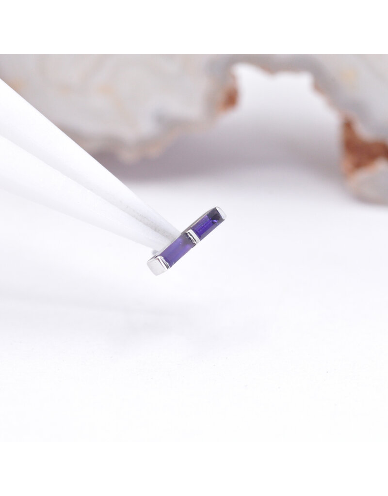 BVLA Rosalia with Amethyst and Sandblasted Amethyst in 14k White Gold Threadless End by BVLA!
