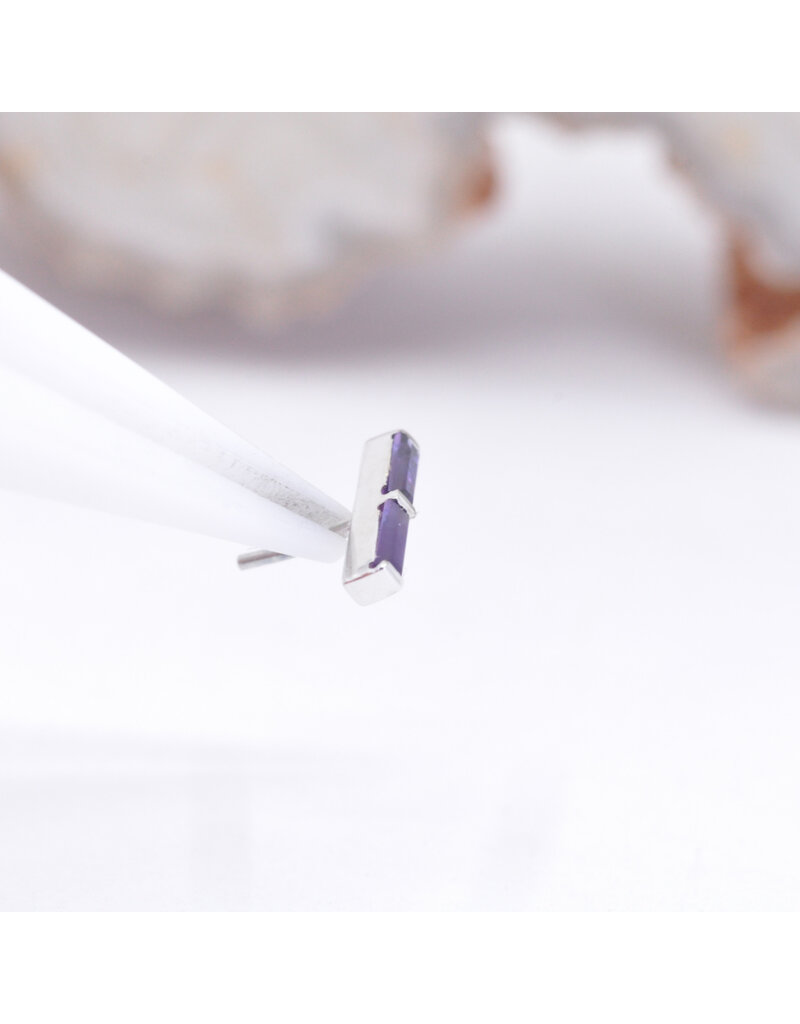 BVLA Rosalia with Amethyst and Sandblasted Amethyst in 14k White Gold Threadless End by BVLA!