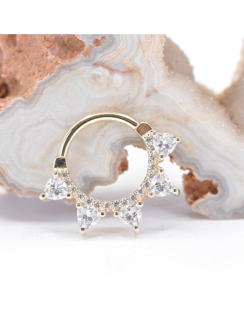 BVLA 16g 3/8" Alpha Clicker Ring with CZ in 14k Yellow Gold by BVLA!