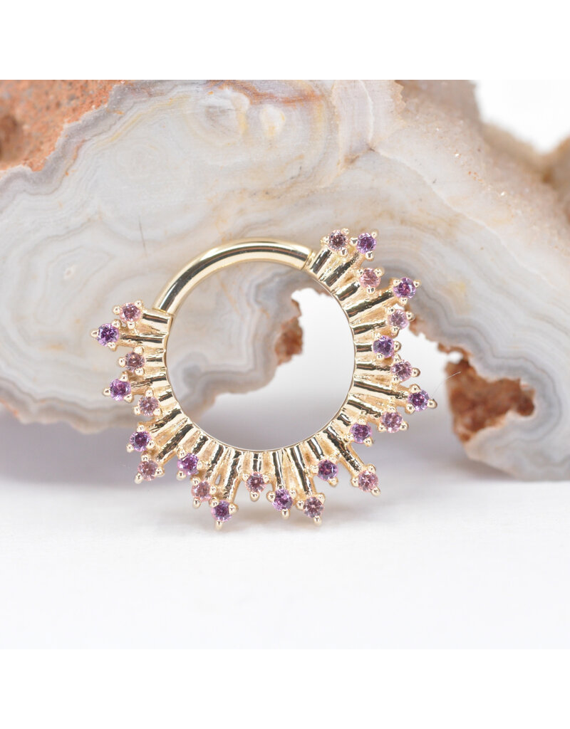 BVLA 16g 11/32" Frozen Clicker Ring with Champagne Sapphires and Rhodolite Garnets in 14k Yellow Gold by BVLA!