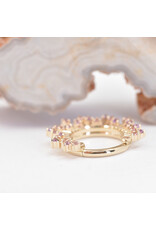 BVLA 16g 11/32" Frozen Clicker Ring with Champagne Sapphires and Rhodolite Garnets in 14k Yellow Gold by BVLA!