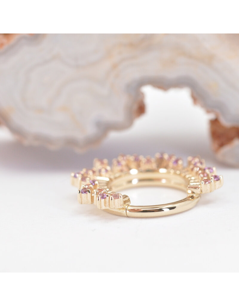 BVLA 16g 11/32" Frozen Clicker Ring with Champagne Sapphires and Rhodolite Garnets in 14k Yellow Gold by BVLA!